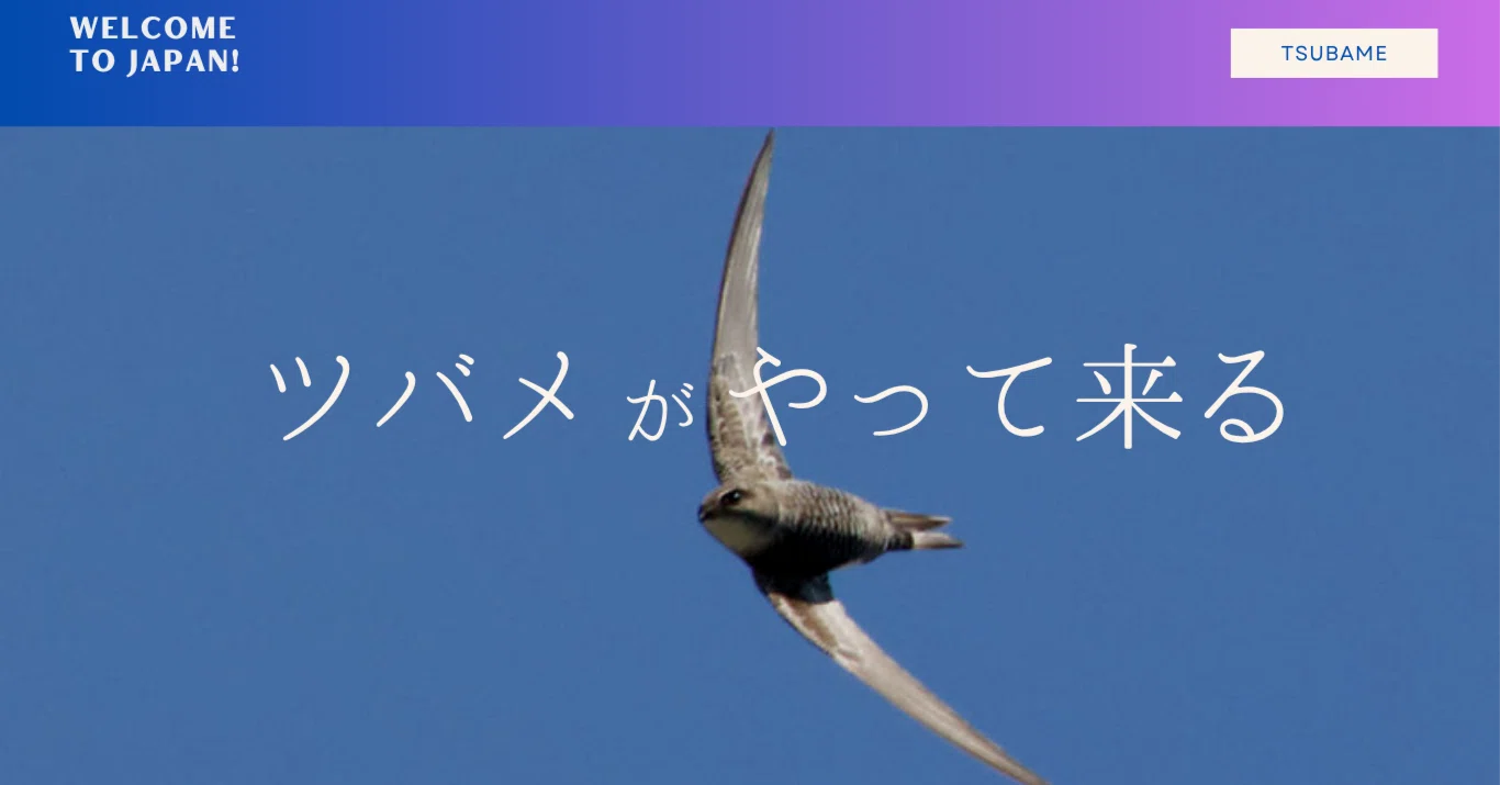 身近なツバメも色々な種類が飛んでるけど気づきにくいので是非空を見て