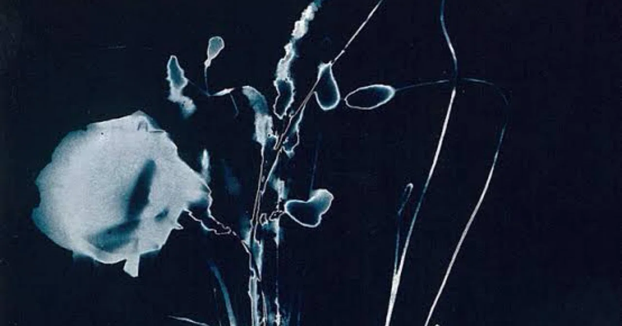 INORAN『想』｜静かな交差｜Naja