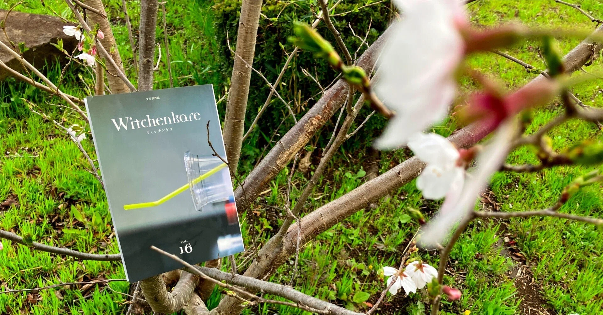 ウィッチンケア第16号が手に取れる書店｜多田洋一（文芸創作誌