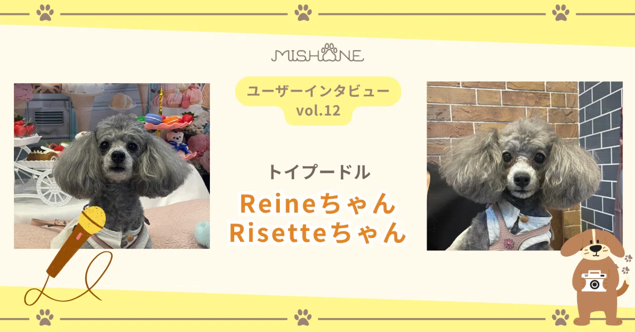 Interview Article Vol. 12] 