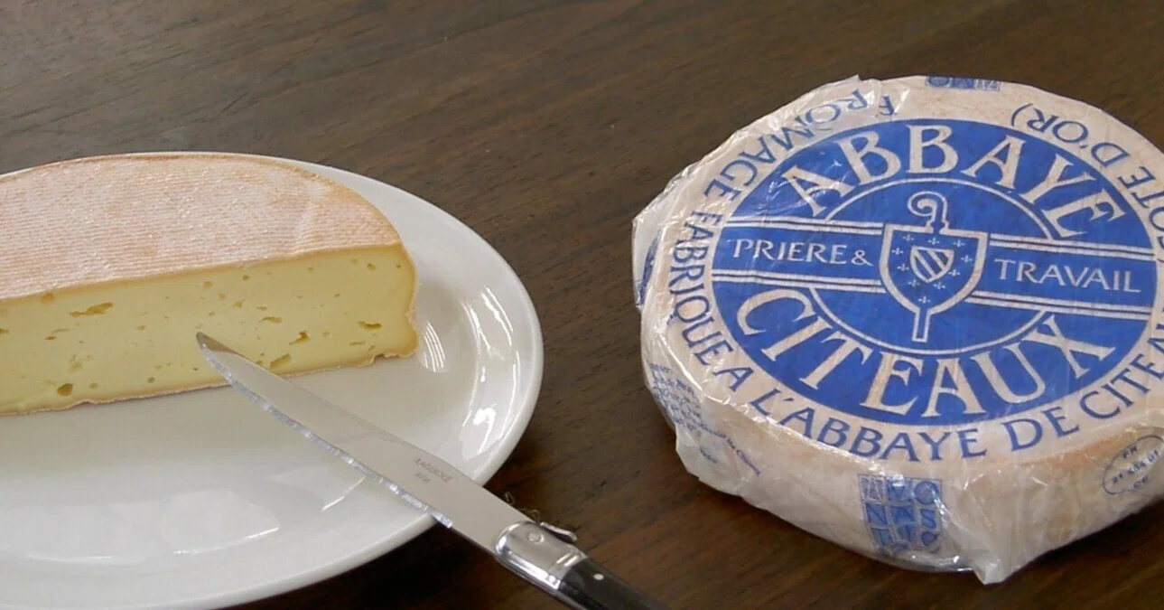 ブルゴーニュ地方の推しチーズ、L'Abbaye de Citeaux。#フランス