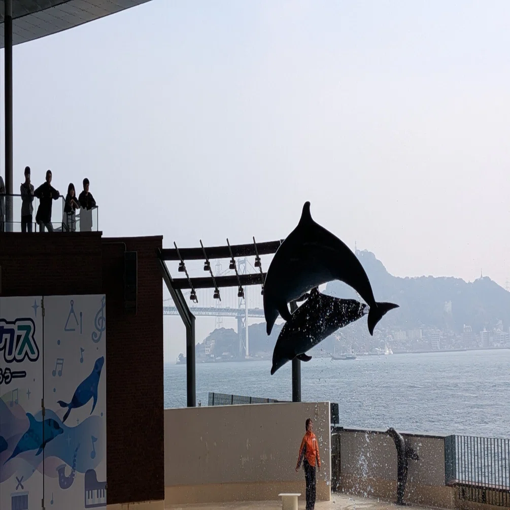 水族館に行く（2026.03.30）｜yamane