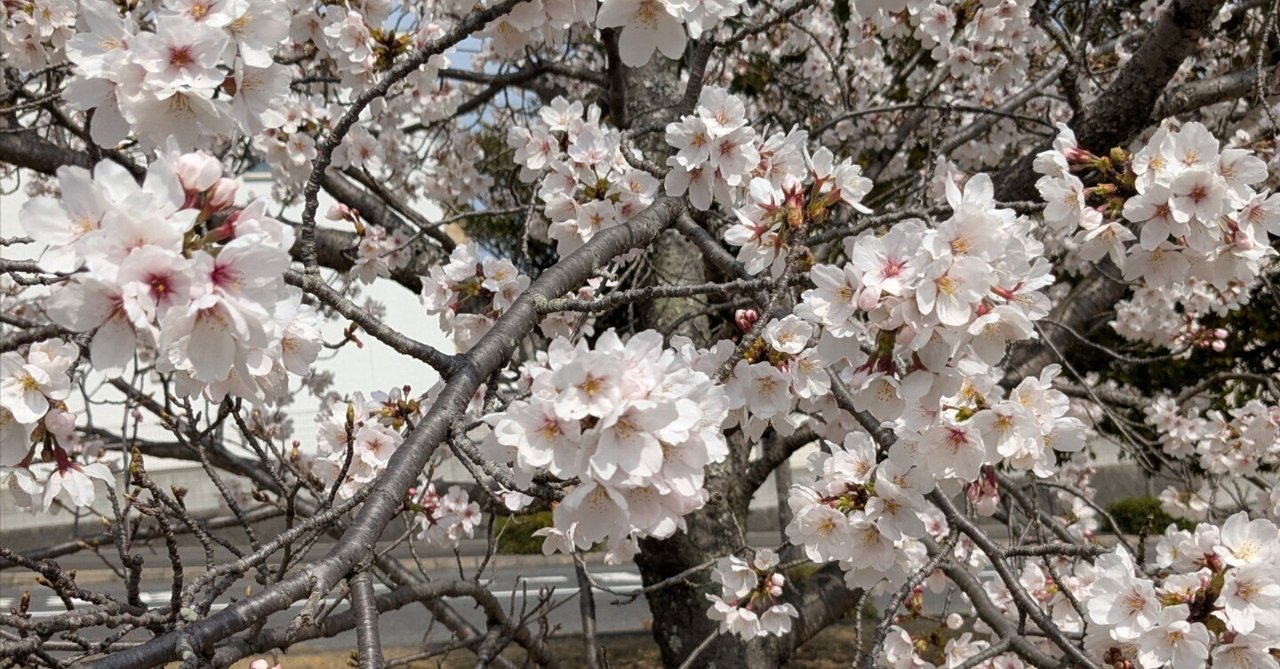 「【日記No.84】Notionに苦戦しながら、少しづつ形に💦」のサムネイル