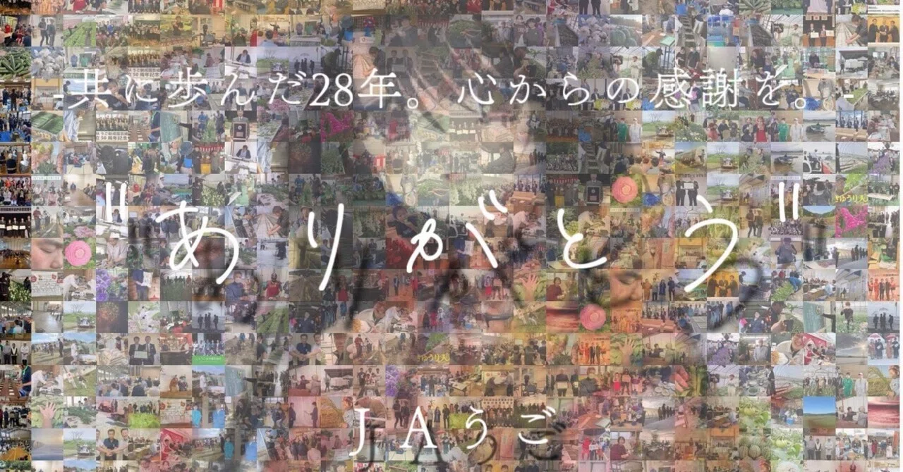 同じ花が、またどこかで咲くように|JAうご公式note【なぇんもねんしども】