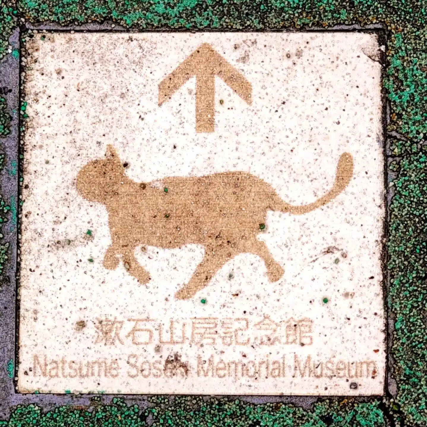 もんちゃん