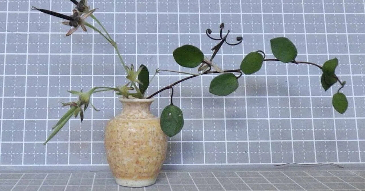 ミニチュア生け花の会とは？ しょの5｜工房てると// 試行錯誤の