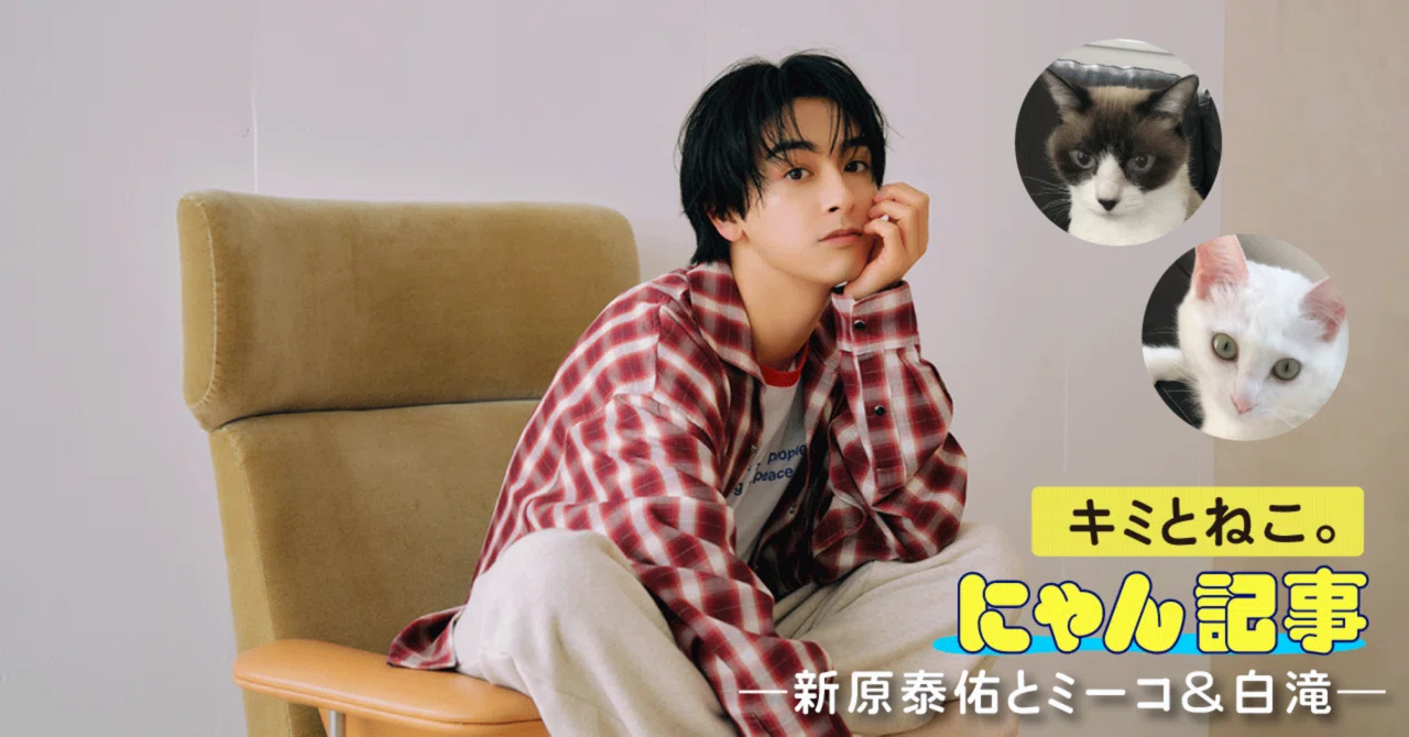 【新品未使用】ユウナ　 プレイマット　クロネコヤマト発送(軽く巻いた状態) キミとねこ。―新原泰佑とミーコ＆白滝―｜ヤマト運輸公式note