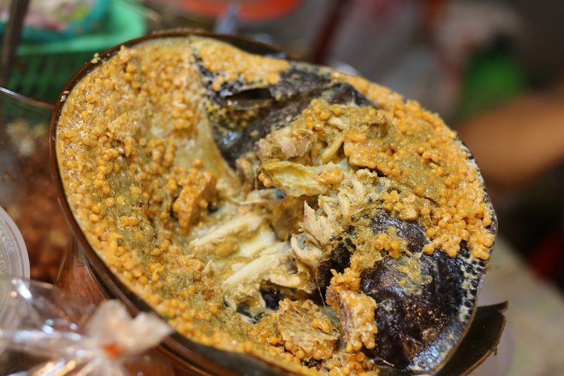 旅ノート 世界一周中のボクの動向 カブトガニを食べた話 Yuta Kanamaru Note 旅ノート 世界一周中のボクの動向 カブトガニを食べた話 Yuta Kanamaru Note