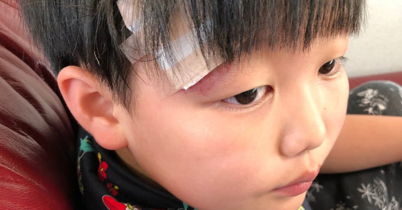 こころくんが大怪我をして帰ってきた話 自転車事故 ココロマンちゃんねる Note
