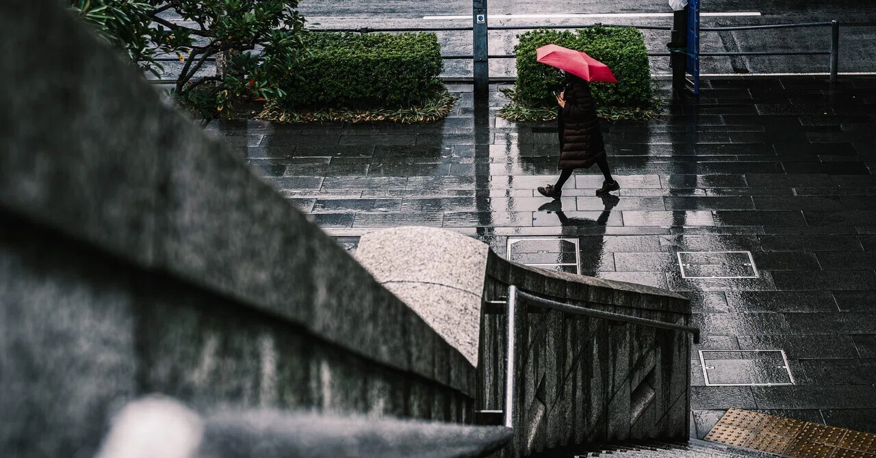 曇りや雨の日にしか撮れないズルい写真の話｜sho