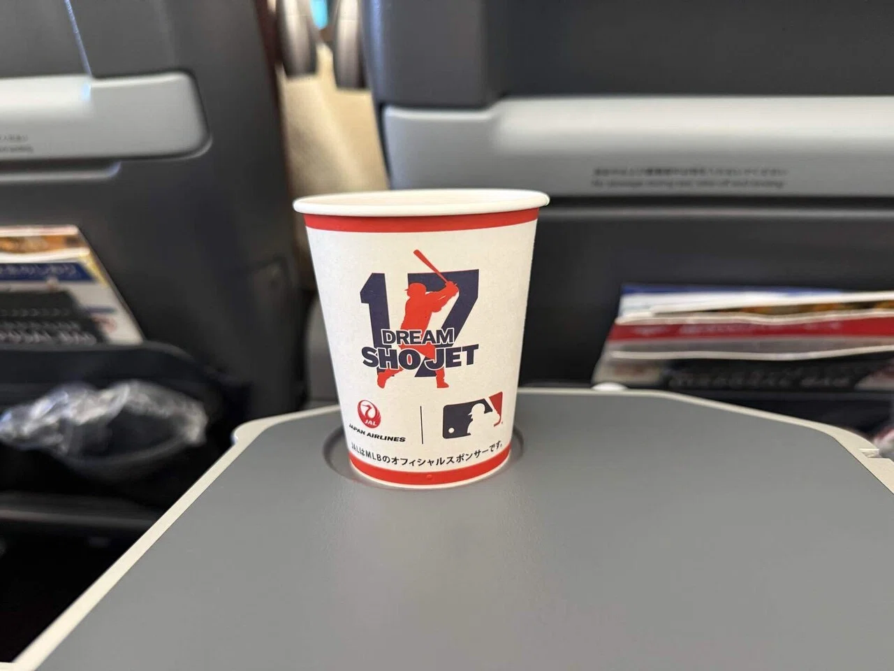 沖縄離島ホッピング② ～御翔印を求めて多良間空港へ～｜ソラノオヤジ