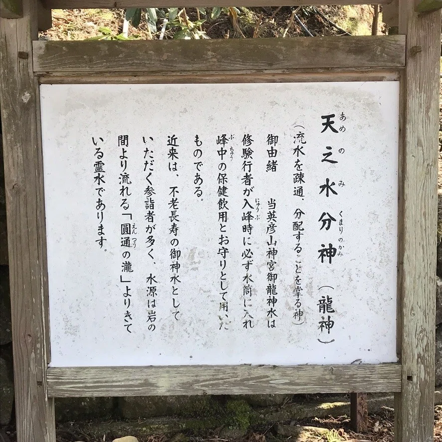 画像15