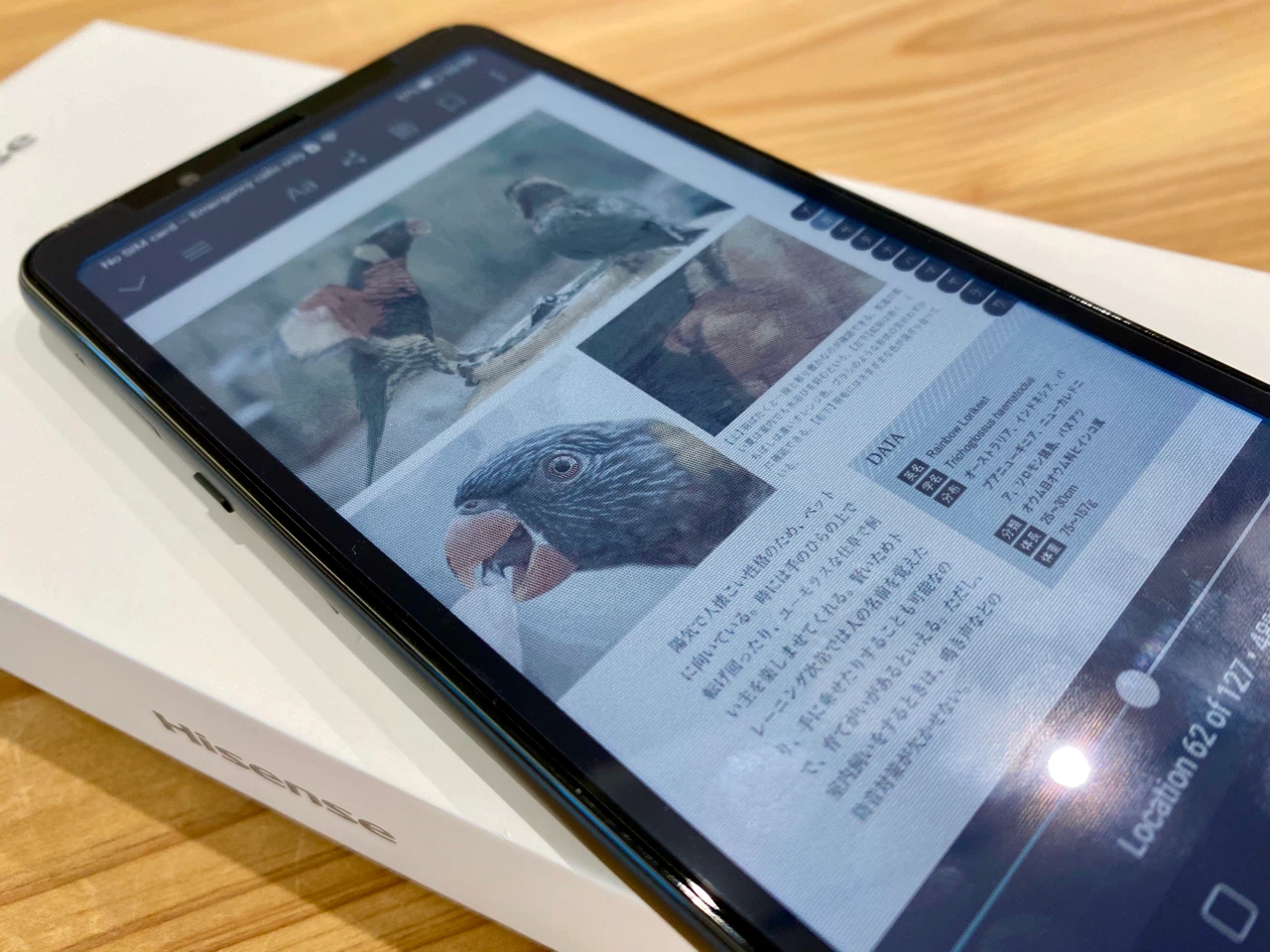 もう出てた!カラー電子ペーパー搭載スマホ Hisense A5C 着弾す もう出てた!カラー電子ペーパー搭載スマホ Hisense A5C 着弾す