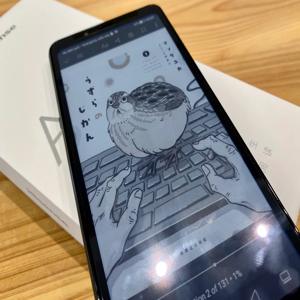もう出てた！カラー電子ペーパー搭載スマホ Hisense A5C 着弾す