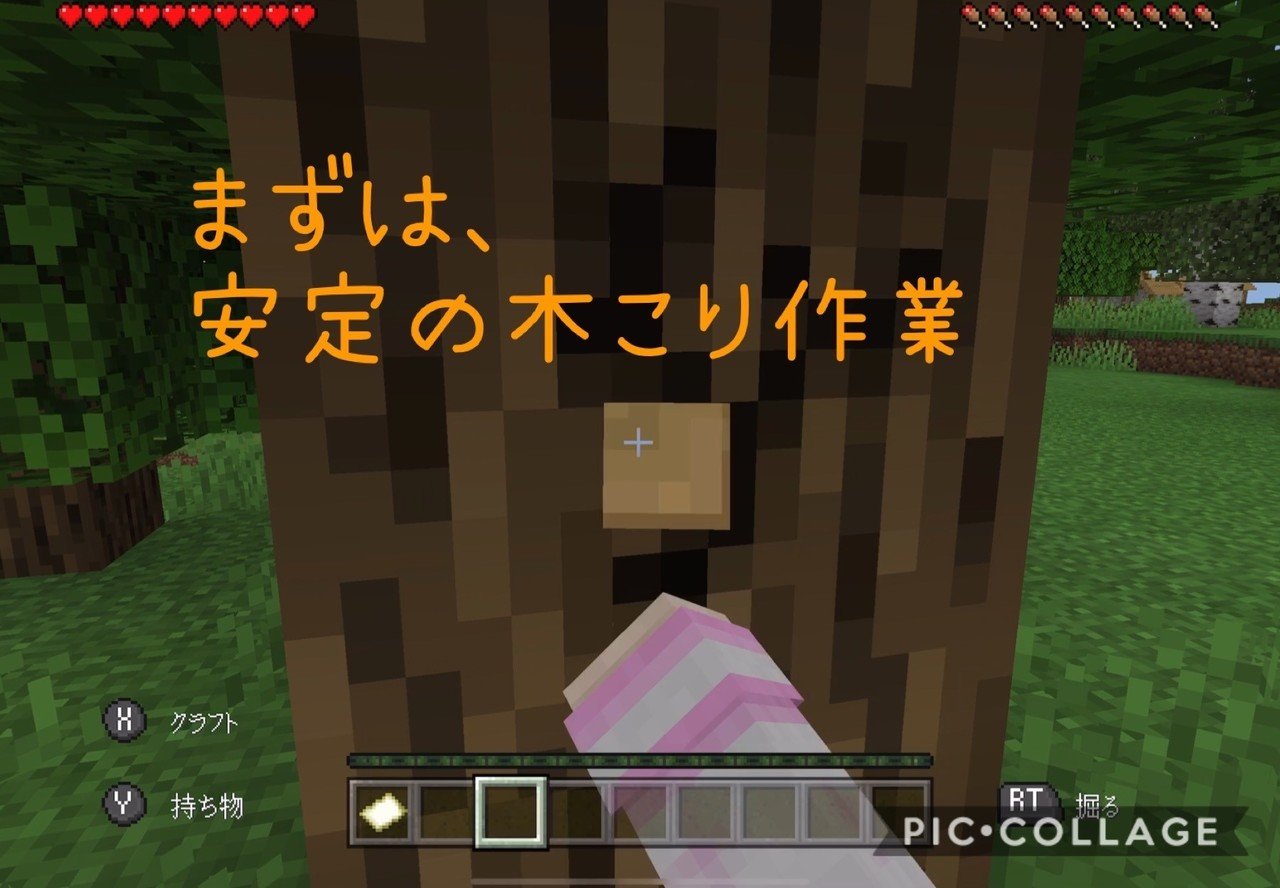 Minecraft 村もアレも見つけていく記念すべき初日 1 Eurekaちゃん Note