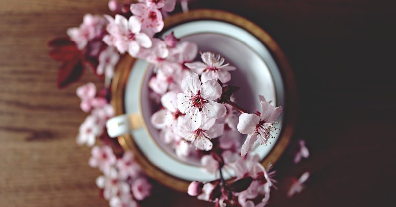 テーブルに一輪の花 京都で実績を出した夫婦改善の話 Kazue Tanaka Note テーブルに一輪の花 京都で実績を出した夫婦改善の話 Kazue Tanaka Note