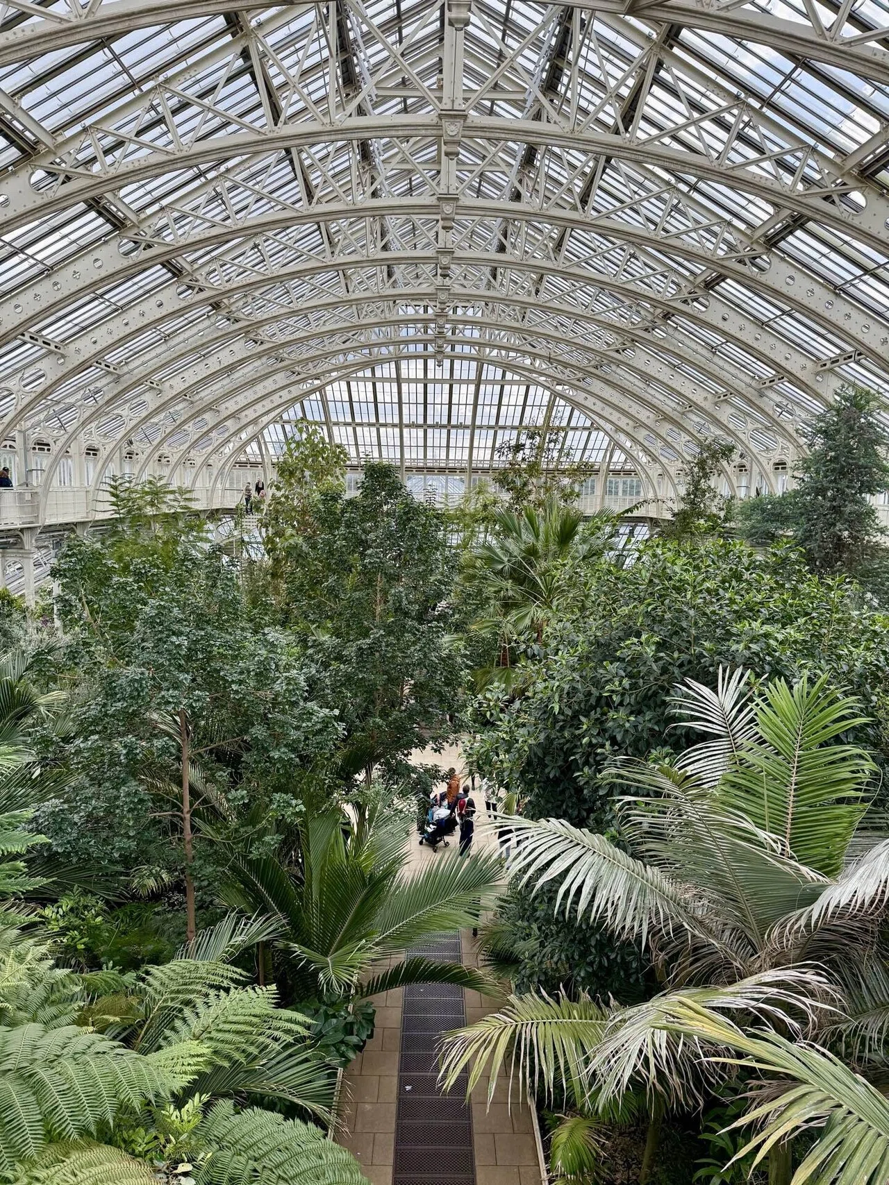 ロンドン春散歩】世界遺産キューガーデンでお花見。30代の壁（？）を