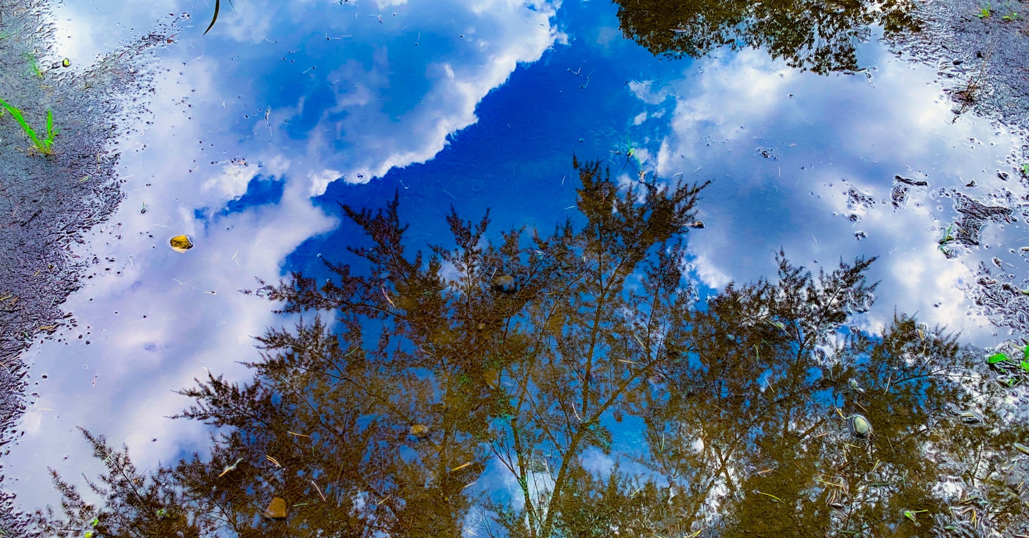 Iphoneで綺麗な写真を撮るテクニックpart1 田中 Note