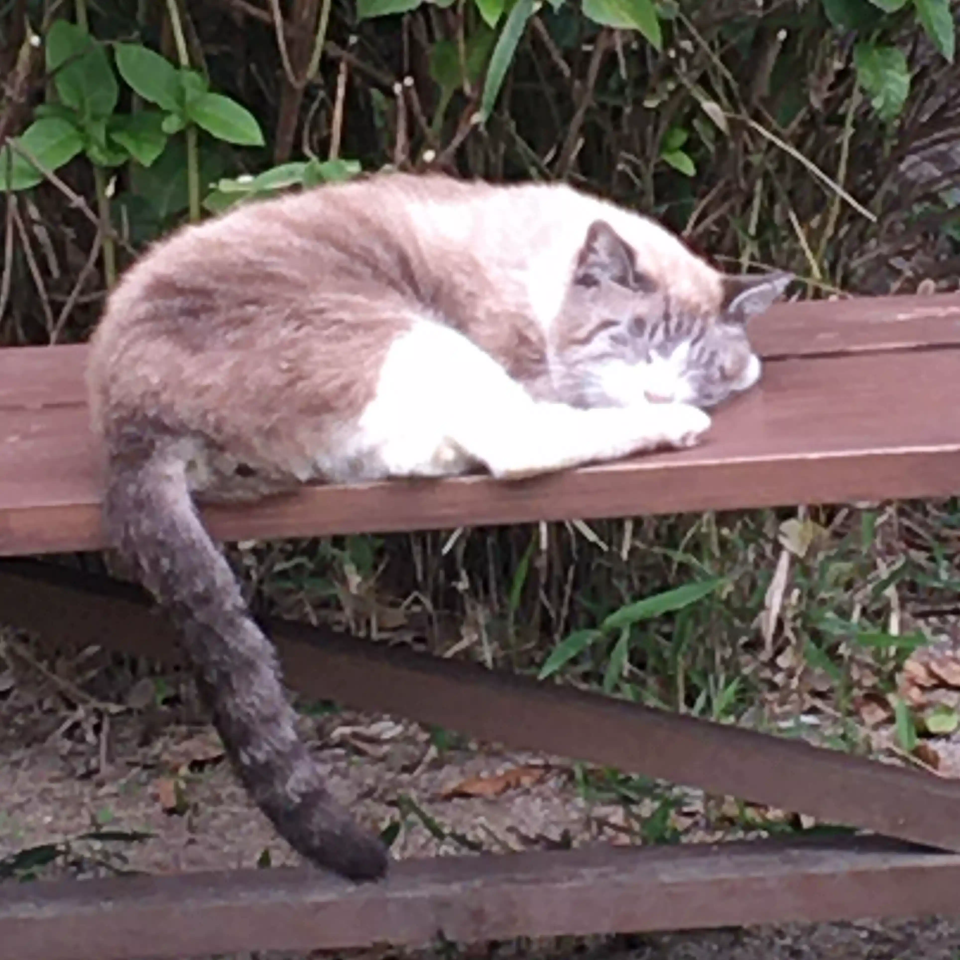 あわい