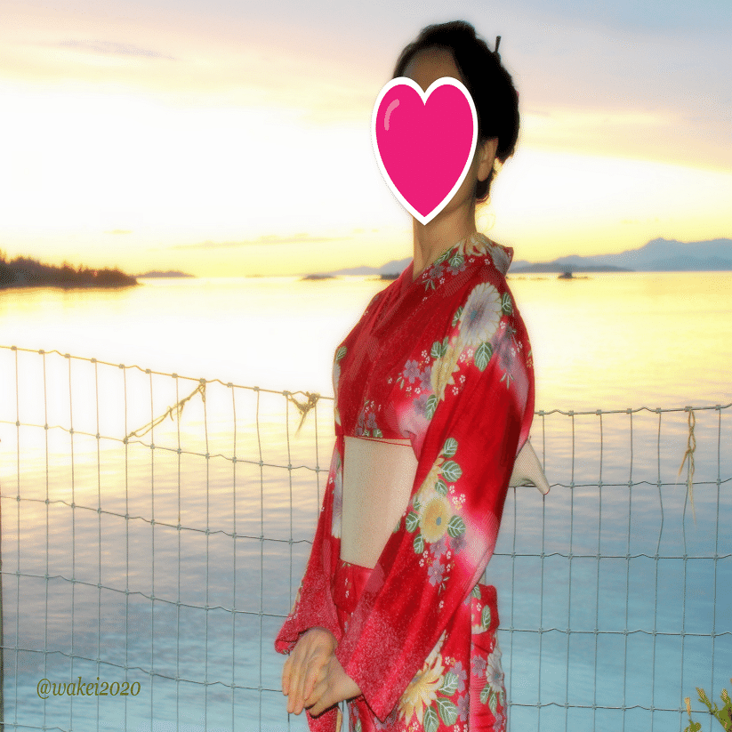 日本髪 かもじ びんみの 一組 デッドストック 舞妓 芸者 床山