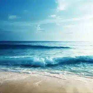涼平 