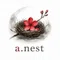アーネスト》》》a.nest