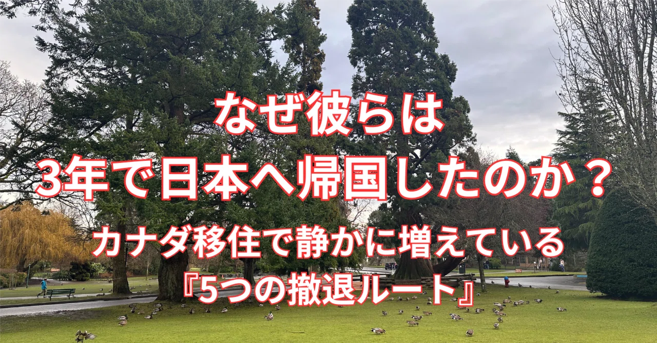家具 5月末にカナダへ移住するので、3段引き出しを販売してい
