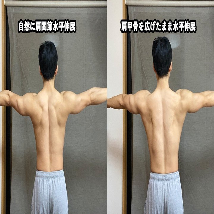リアレイズ 三角筋 後部の鍛え方を徹底解説 メロン肩 せいや アラサー筋トレチャンネル Note