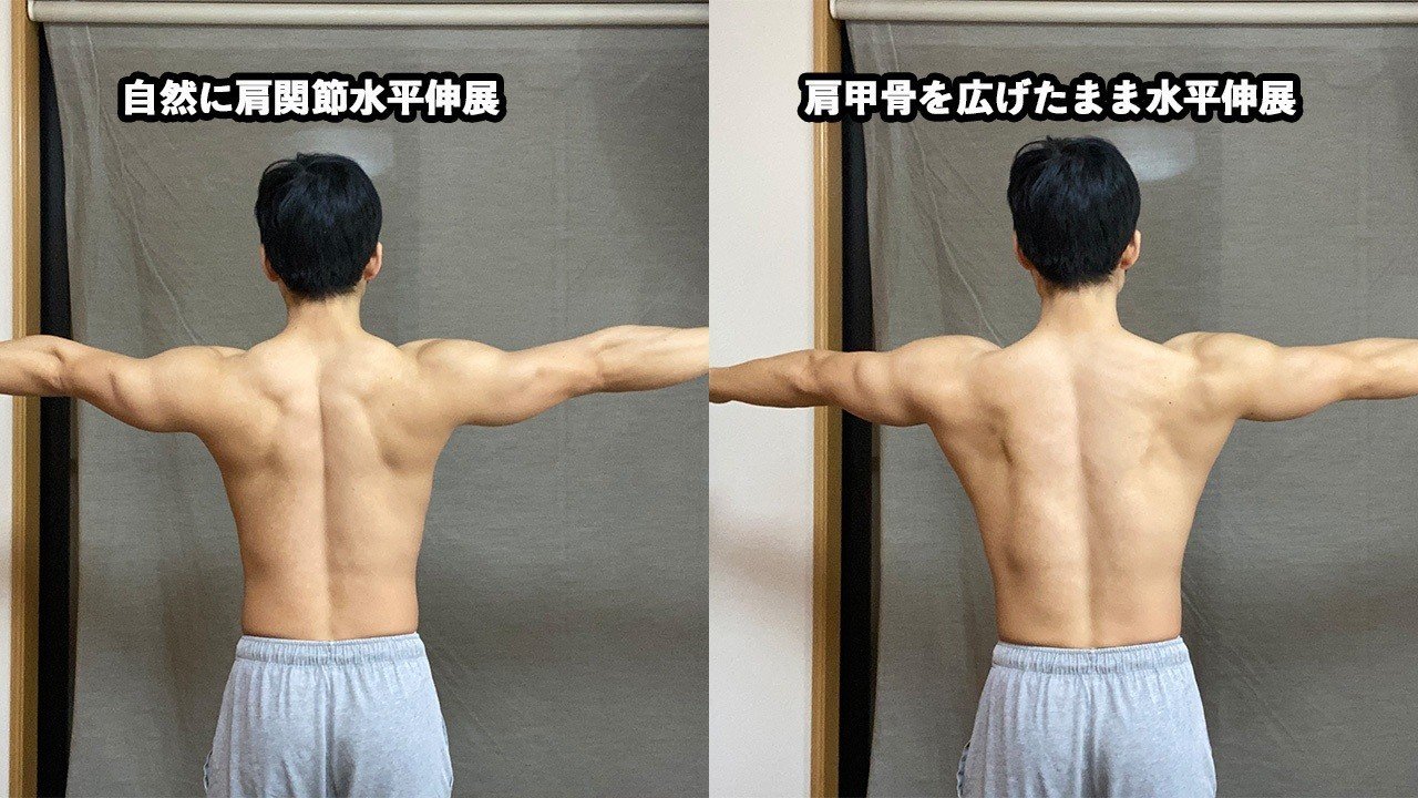 リアレイズ 三角筋 後部の鍛え方を徹底解説 メロン肩 せいや アラサー筋トレチャンネル Note リアレイズ 三角筋 後部の鍛え方を徹底解説 メロン肩 せいや アラサー筋トレチャンネル Note