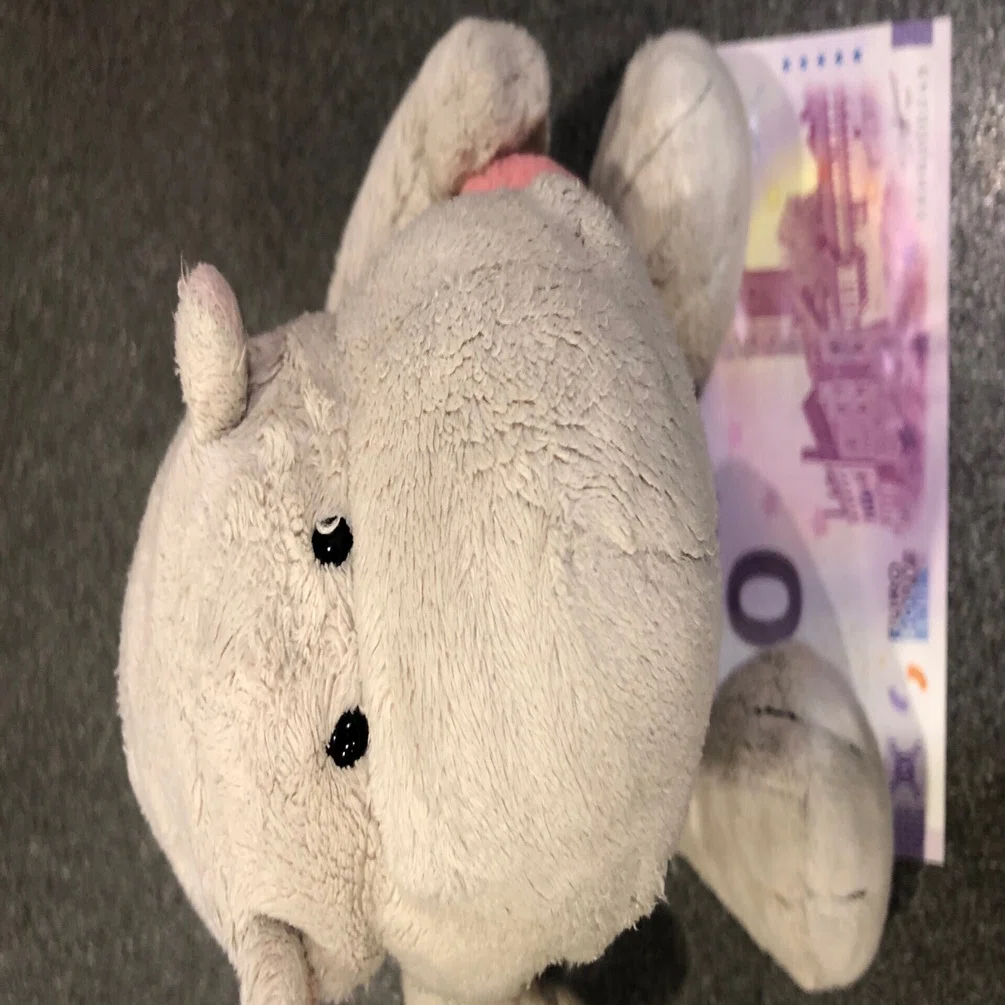 とうとう購入しちゃった | ドイツ | 0€ユーロ紙幣｜カバ子と、ドイツと