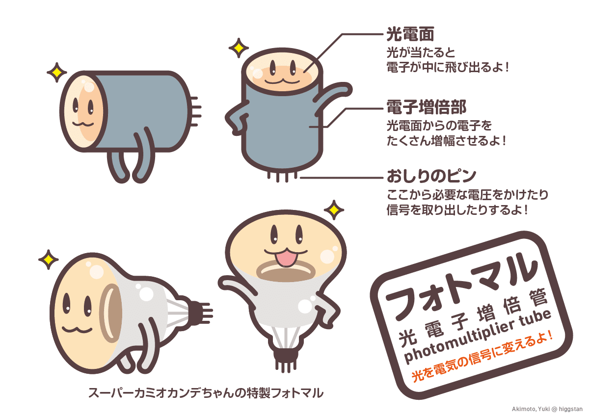 フォトマルくん；光電子増倍管｜Akimoto, Yuki｜Higgstan
