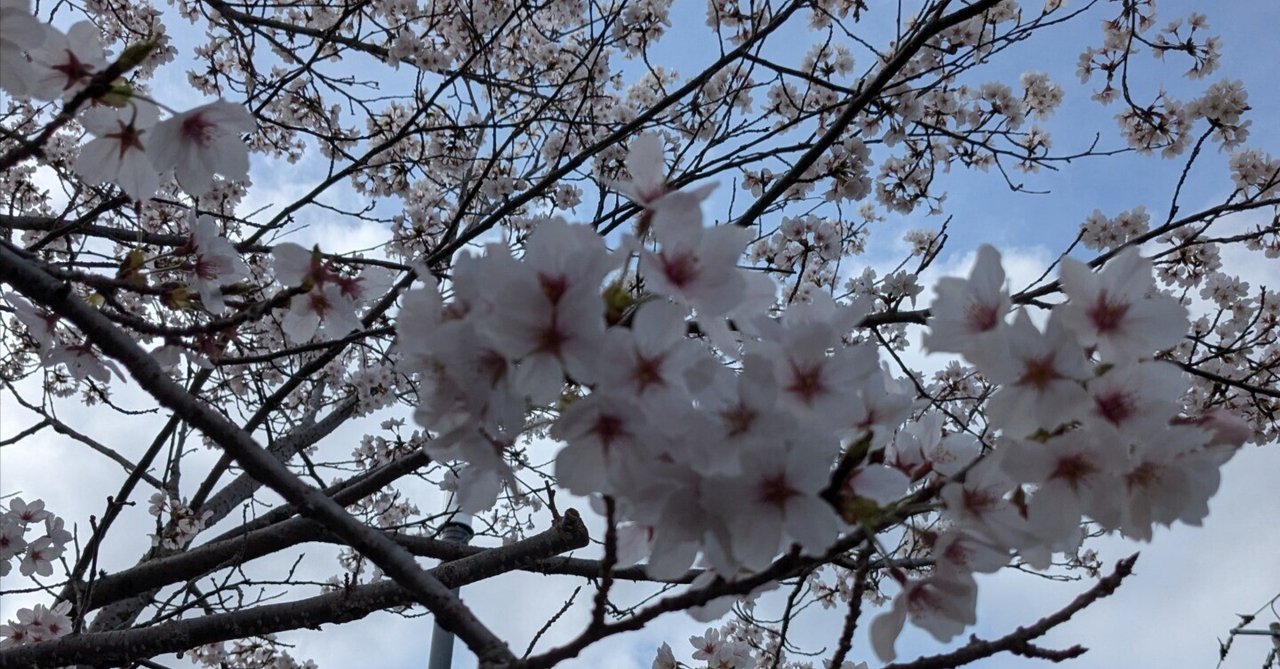 「【日記No.85】なかなか事務所っぽくならない💦」のサムネイル