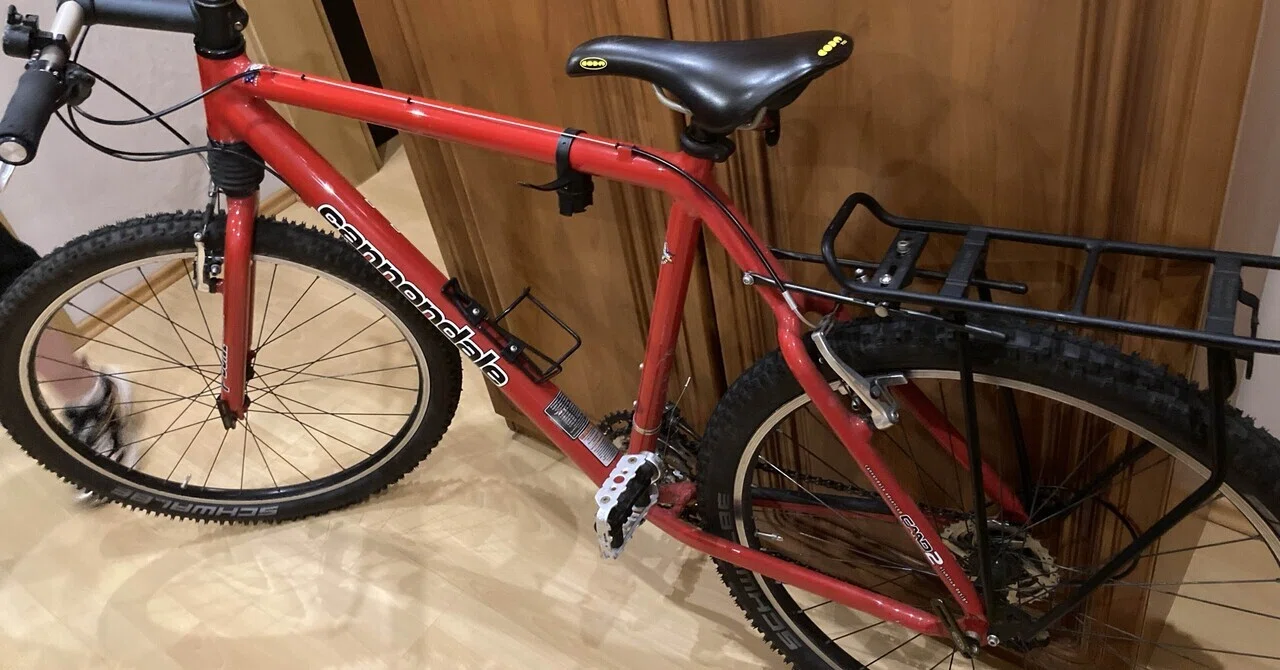 ドイツ生活 1100-1102日目 2026/3/29-3/31 自転車借りたいけど自分の脚 