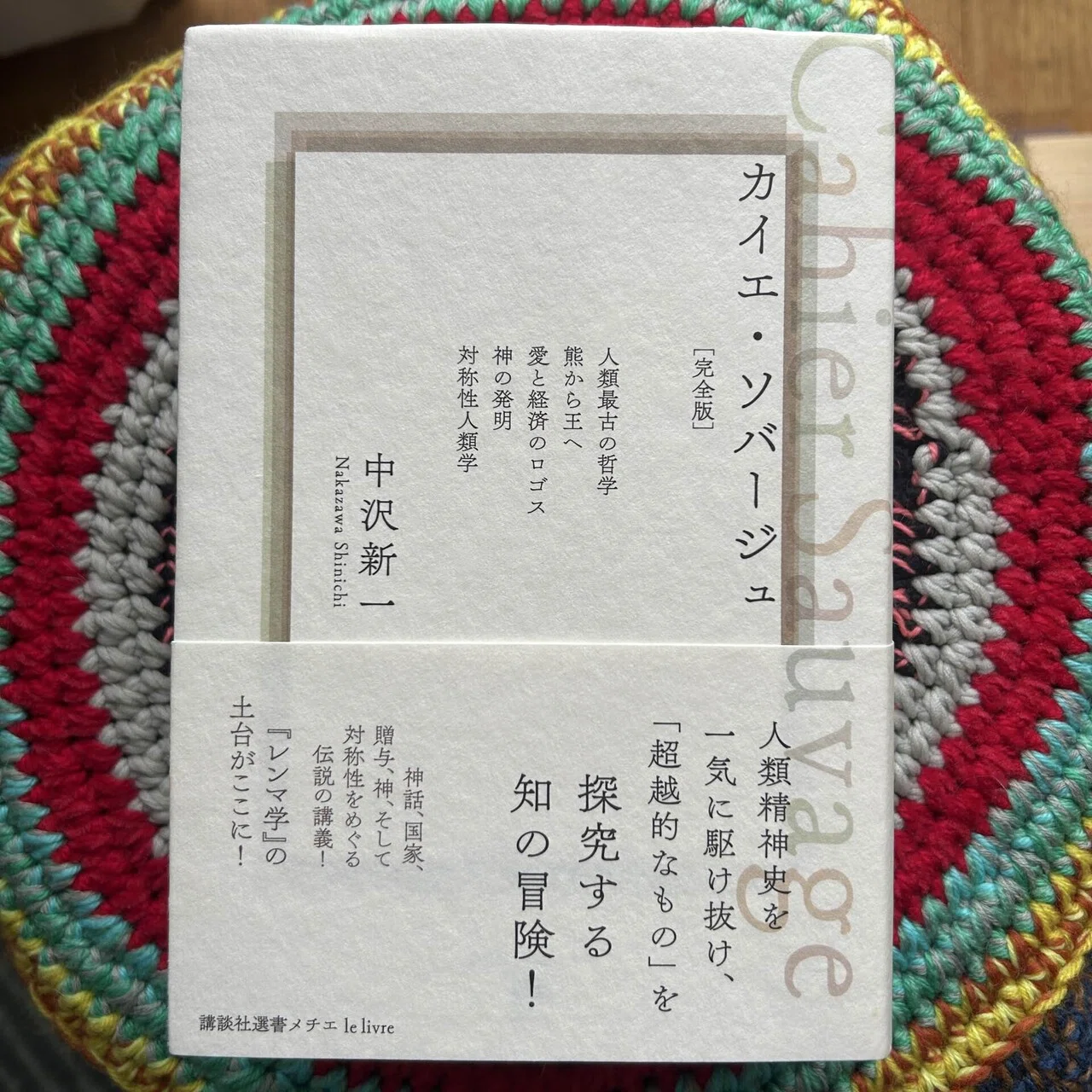 読書録】文学的人類学者の衒学的な夢｜中沢新一『カイエ・ソバージュ