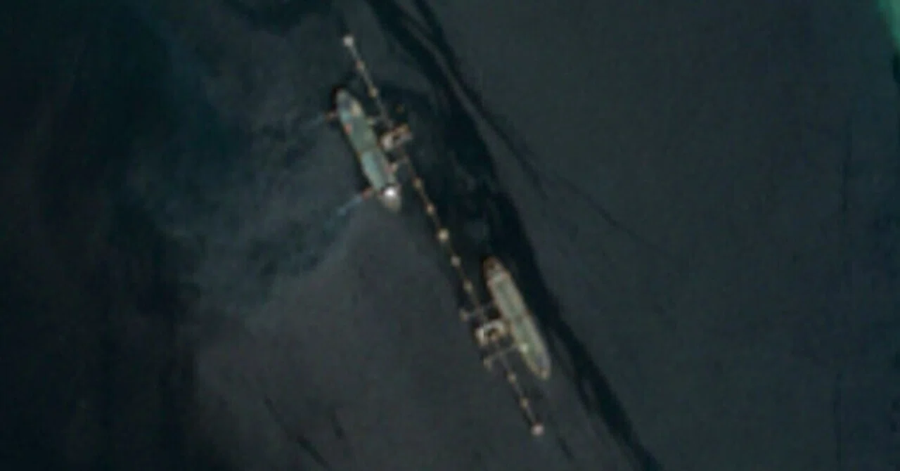 熠変油滴　皆貝　共箱　東Y8-0403☆2Fタルウ イラン・カーグ島における原油タンカー群の動向：衛星画像から見えて