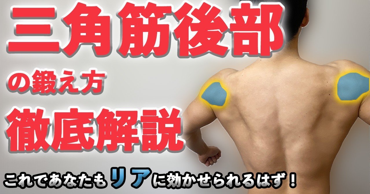 リアレイズ 三角筋 後部の鍛え方を徹底解説 メロン肩 せいや アラサー筋トレチャンネル Note