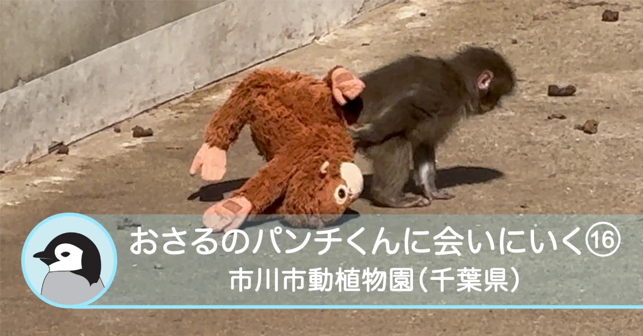 おさるのパンチくんに会いにいく16-市川市動植物園（千葉県）｜Solo