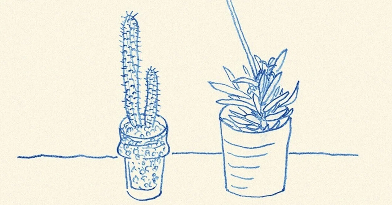 絵画 873/抽象画風/多肉植物/S4号 華」という水彩画を描きました 多肉植物の寄せ植えの絵 ｜ 毎日水彩画