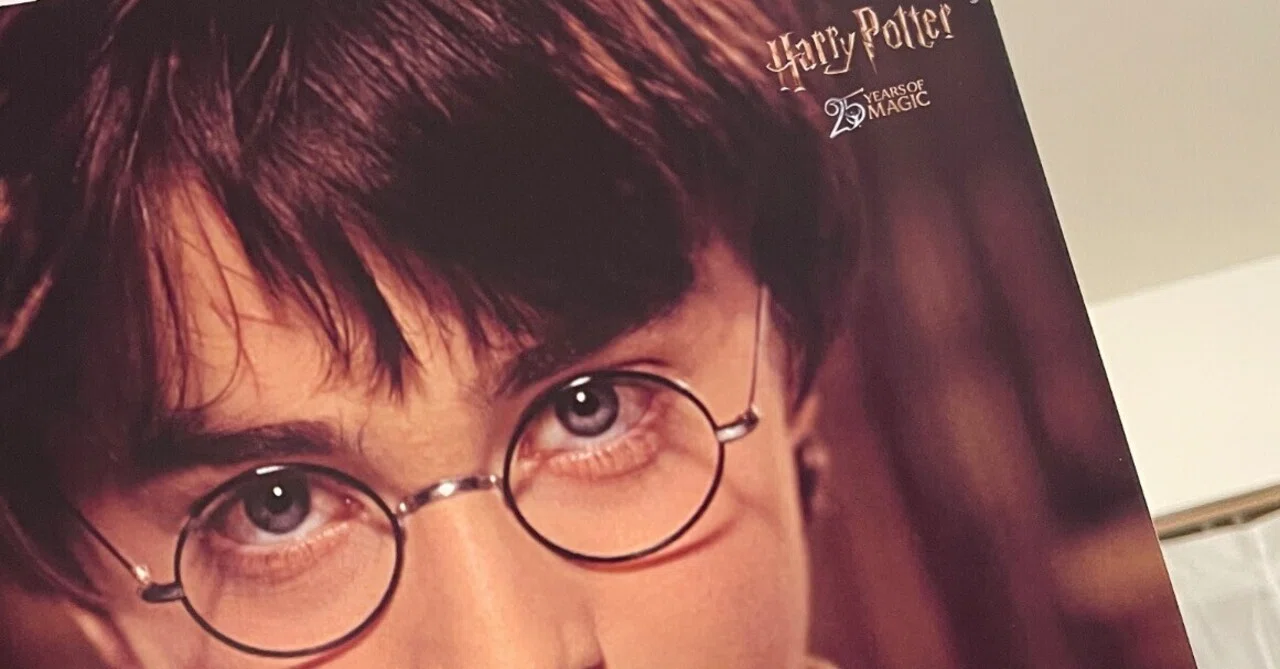 ハリーポッターにハマり、オーダーメイドで“自分の杖”を作った話 