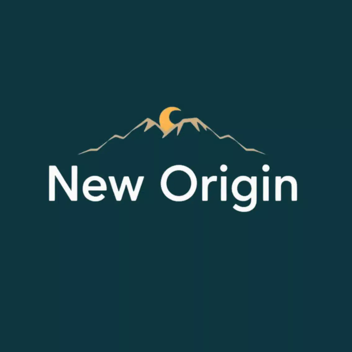 【公式NewOrigin】SNS代行業