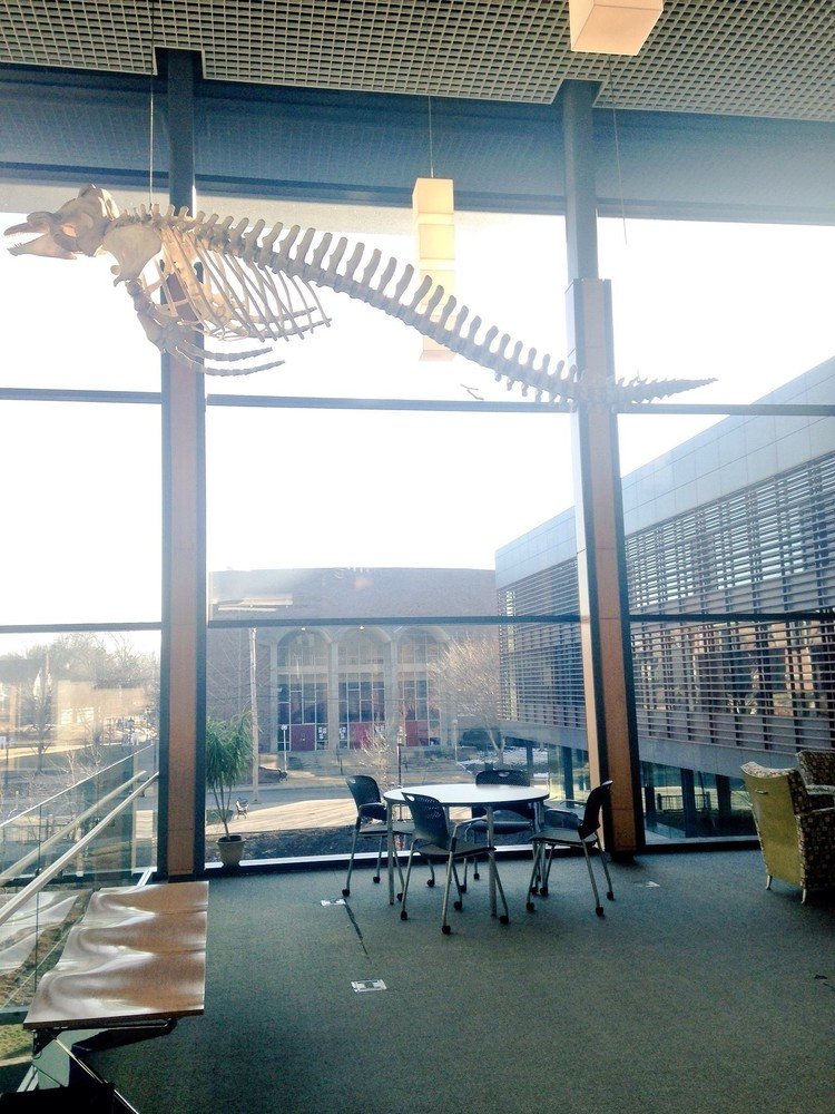 サイエンスセンターに勉強しに来たら、吹き抜けの天井を気持ちよさそうに泳ぐ魚？恐竜？の骨くん。一人でぽつんと寂しそうにも見えるのは私の心を映しているだけかも
