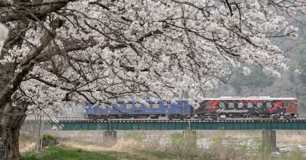 桜と列車の風景画 桜と列車が撮りたくて🌸🚃｜ayu_earth lover