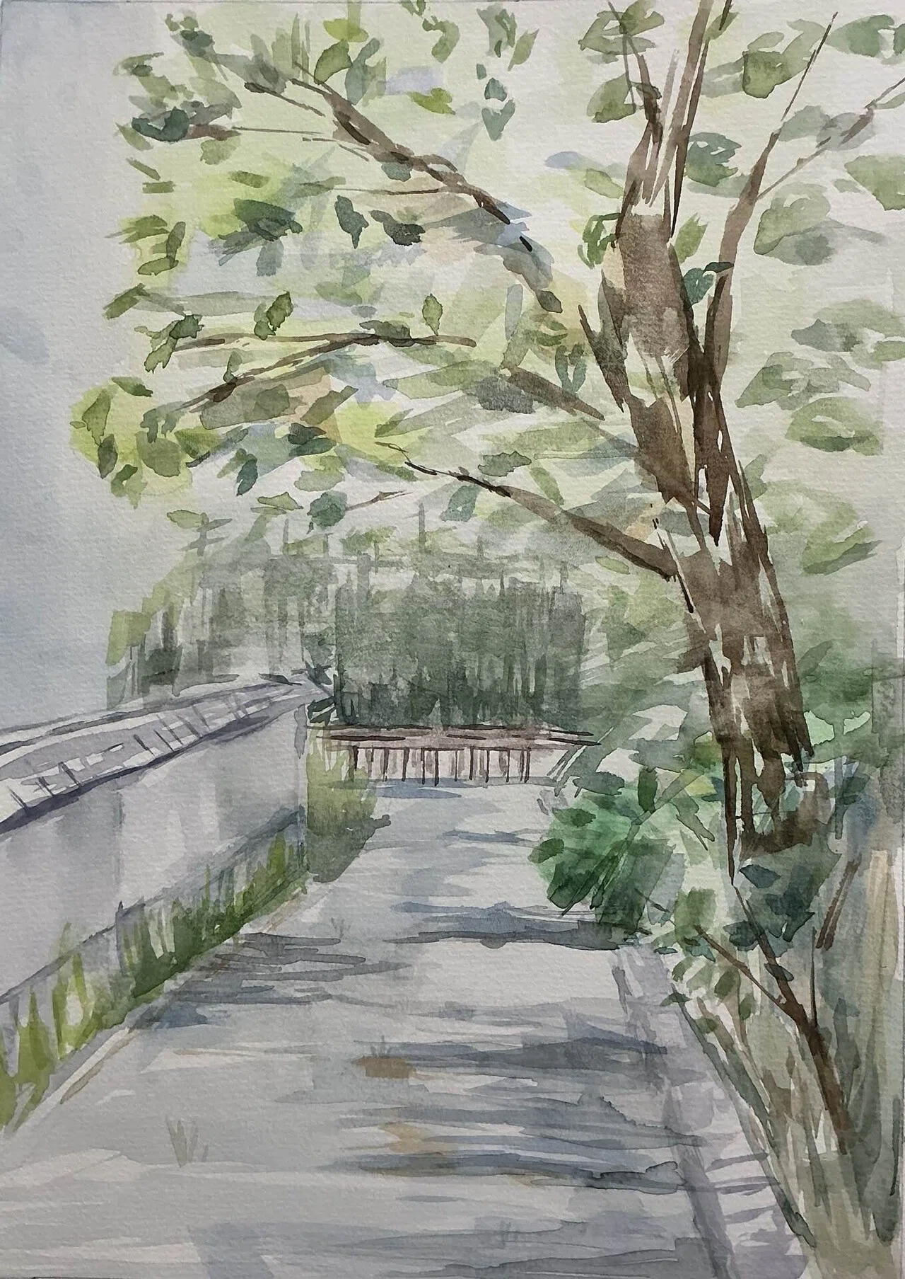 風景画 色鉛筆 • 透明水彩｜ぎんなん