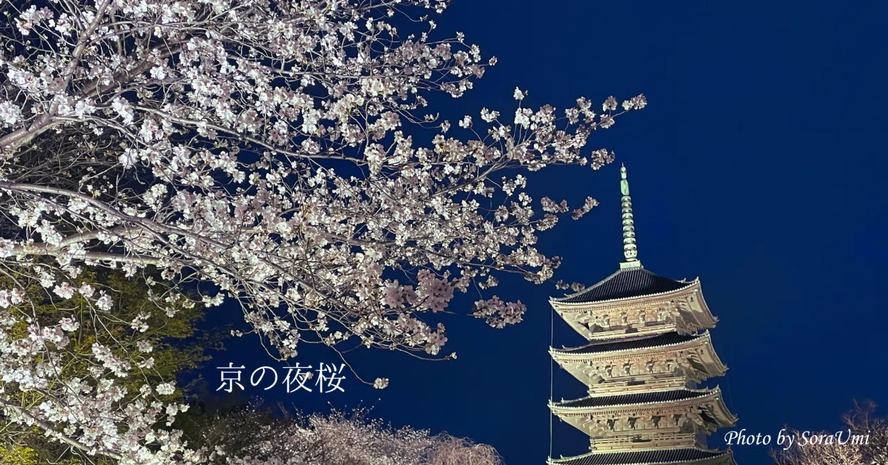 そうだ、京都行こう｜夜桜を観に｜SoraUmi｜そらうみのエソラゴト