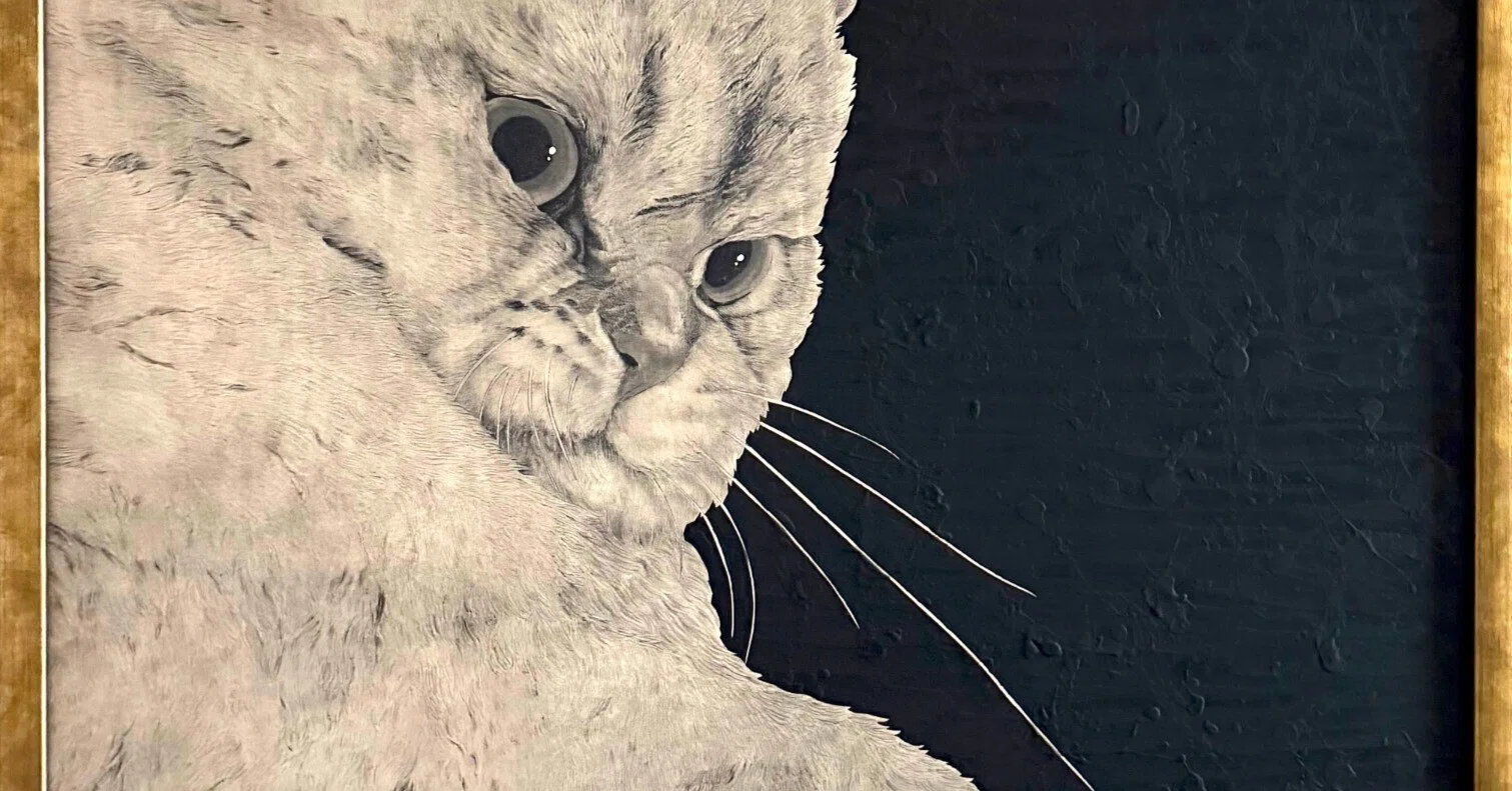 今週の猫】 Cat of the Week 2026/4/1｜山田貴裕