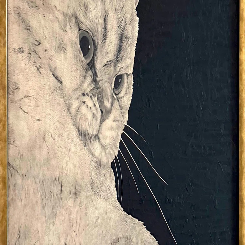 今週の猫】 Cat of the Week 2026/4/1｜山田貴裕