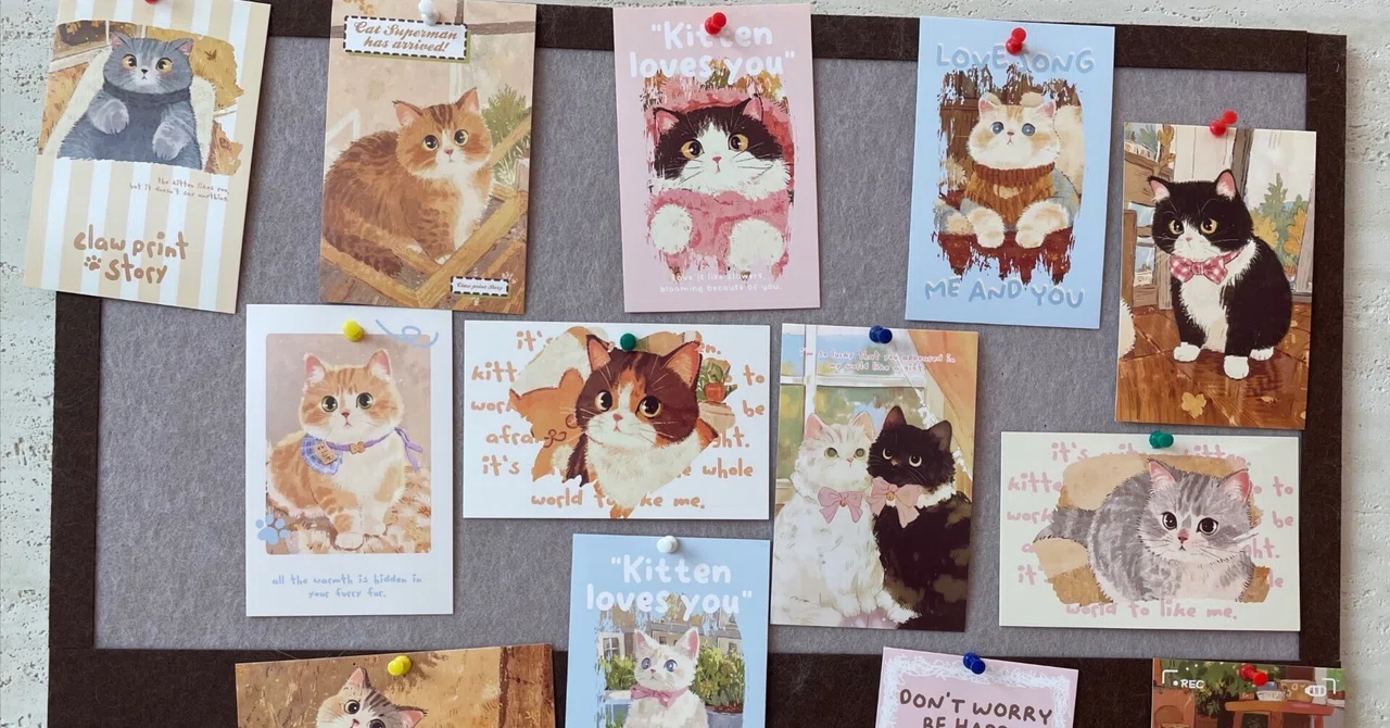 🐈 A Relaxing Time at the New Hidden Gem Cat Cafe “KIDS × CATS (Cafe)” 🍹 ...