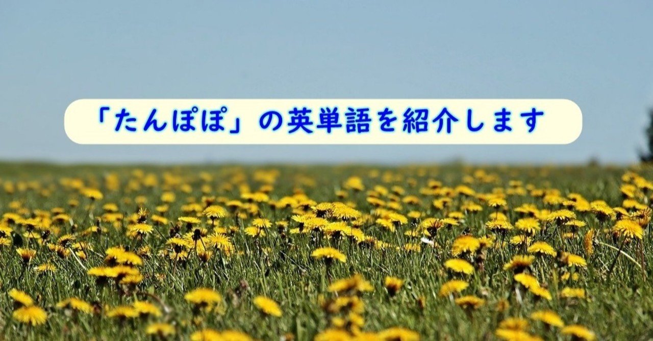 花に関連した英単語 たんぽぽ 語源 花言葉も きむっち 継続で電子書籍3冊を出版した人 Note 花に関連した英単語 たんぽぽ 語源 花言葉も きむっち 継続で電子書籍3冊を出版した人 Note