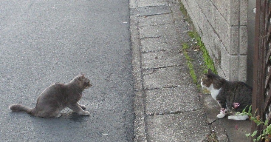 名著 大河の一滴 から人生が変わる名言を引用します 田中 慶太 Note 名著 大河の一滴 から人生が変わる名言を引用します 田中 慶太 Note