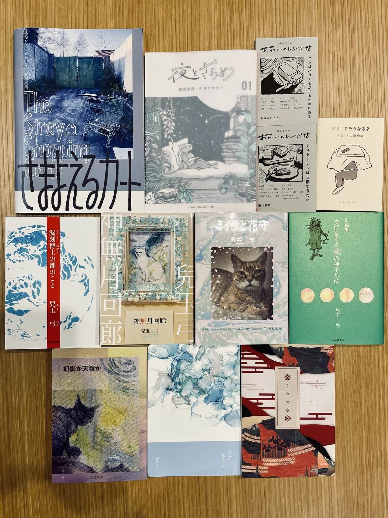 読書雑記 読書記録 │ ZINEスタジアム(岡山ドーム)で買った本の感想｜五月晴
